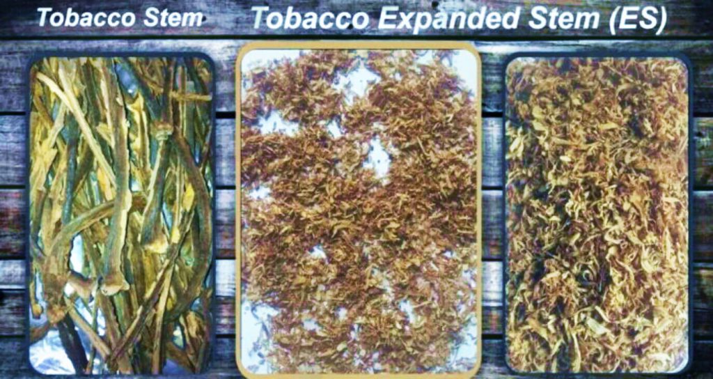 Замысловатые текстуры раскрыты: Внимательное изучение расширенных стеблей табака