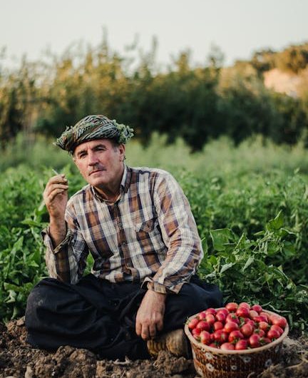 Лучший Табак для Кальяна в Сочи