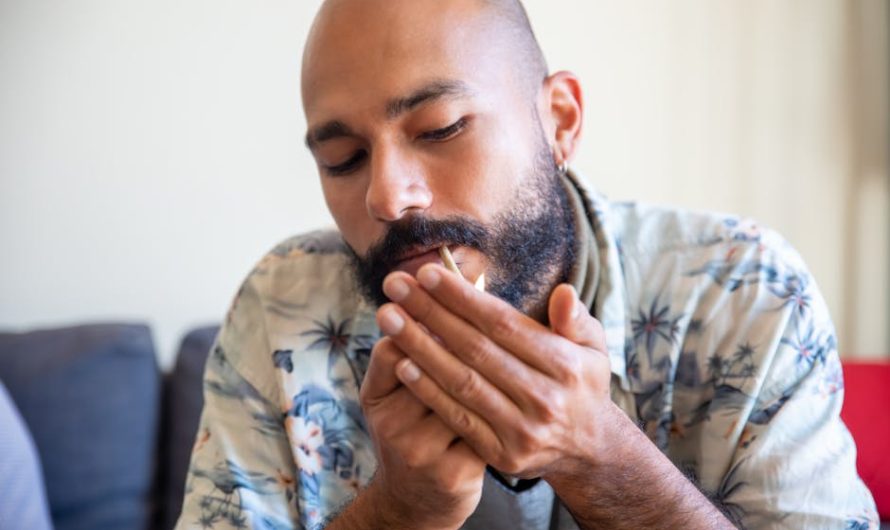 IQOS 3 и IQOS 3 Duo в Краснодаре — цена и преимущества устройств