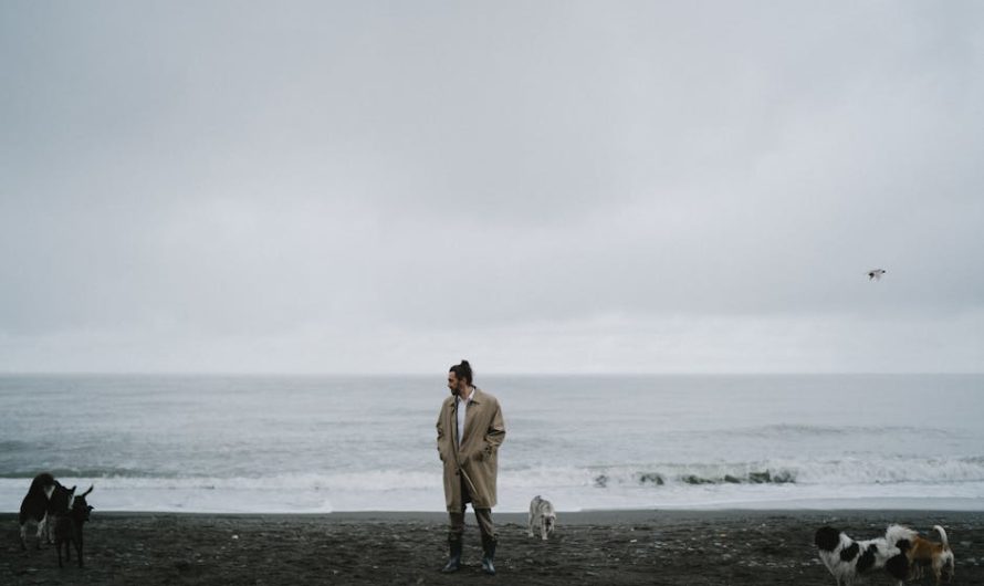 Барахолка Айкос Краснодар — товары ручной работы и табачные продукты