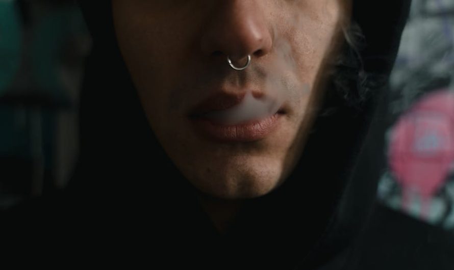 Стики Terea: виды и особенности табачных изделий для pod-систем