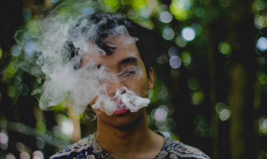 Магазин табак в Сочи: широкий выбор табачной продукции