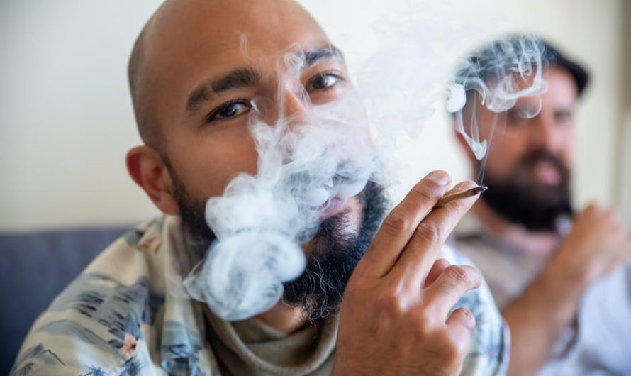 Табак для кальяна в Сочи: как выбрать лучший вариант