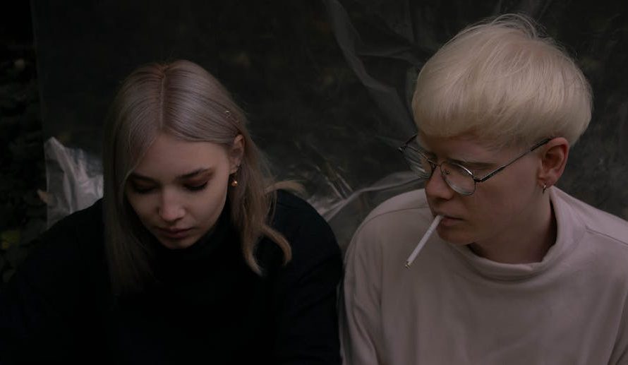 Кальянный табак в Краснодаре: где купить лучший табак для кальяна