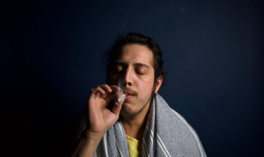 Кальянный табак в Краснодаре: где купить и как выбрать лучший продукт