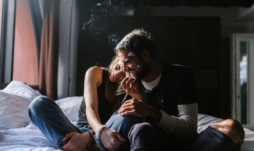 Где купить стики для IQOS Terea по выгодной цене