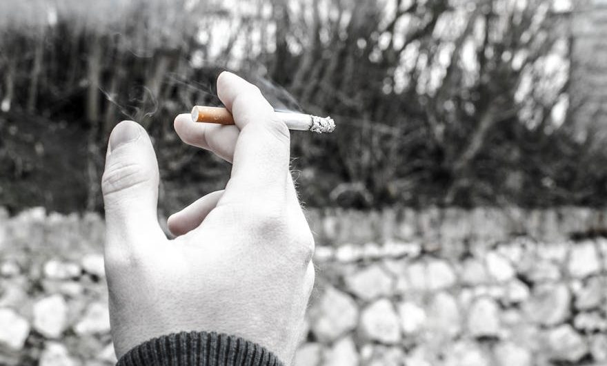 Табак оптом в Краснодаре: качество и разнообразие по выгодным ценам