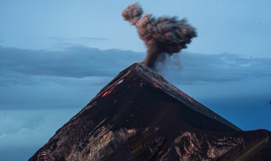 Краснодарский институт табака ключевой центр табаководства в России