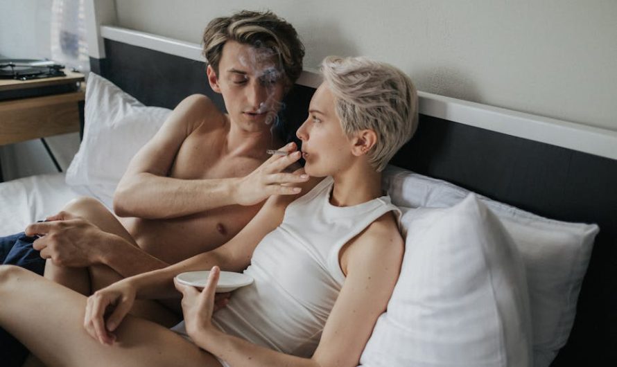 Стики Terea разнообразие вкусов и преимущества