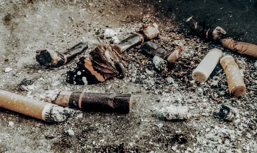 ООО Крым Табак — лидер табачной индустрии России