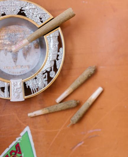 Табак Краснодарского Края: История, Сорта и Преимущества