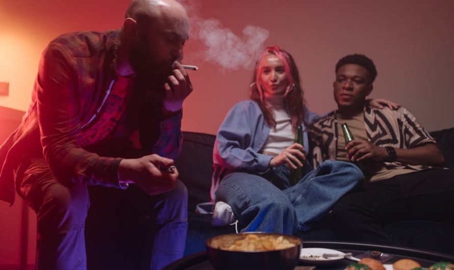 Стики Terea в России — виды, цены и где купить