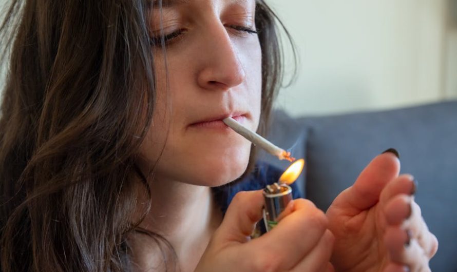 Использование Айкос в аэропорту Сочи и самолете