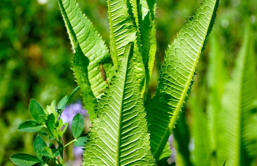 Аренда офиса в Краснодаре от компании Айкос