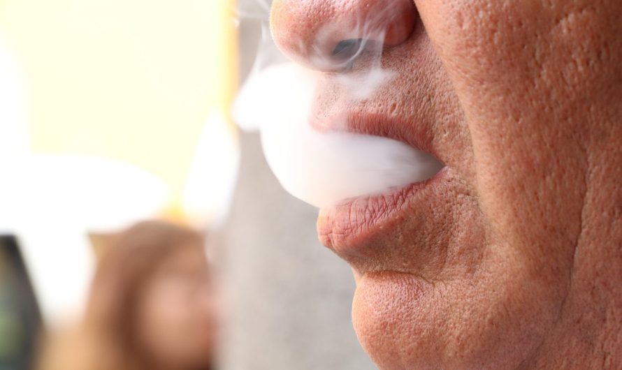 Как выбрать лучший табак оптом для кальяна в Краснодаре