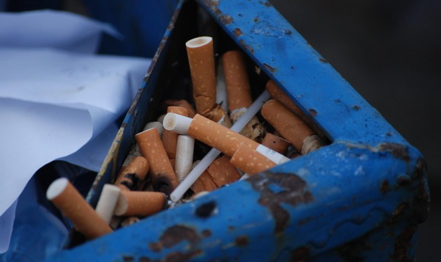 Terea в России: Популярность и ассортимент