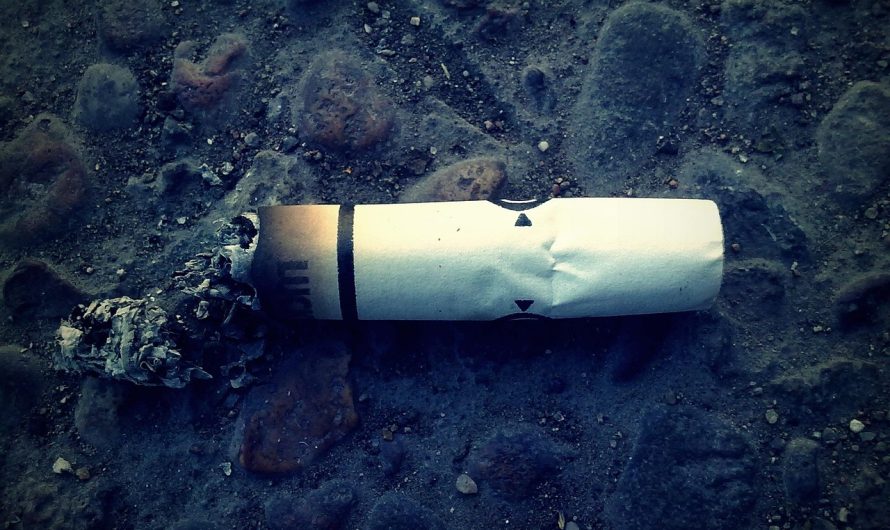 IQOS Iluma в России: преимущества и где купить