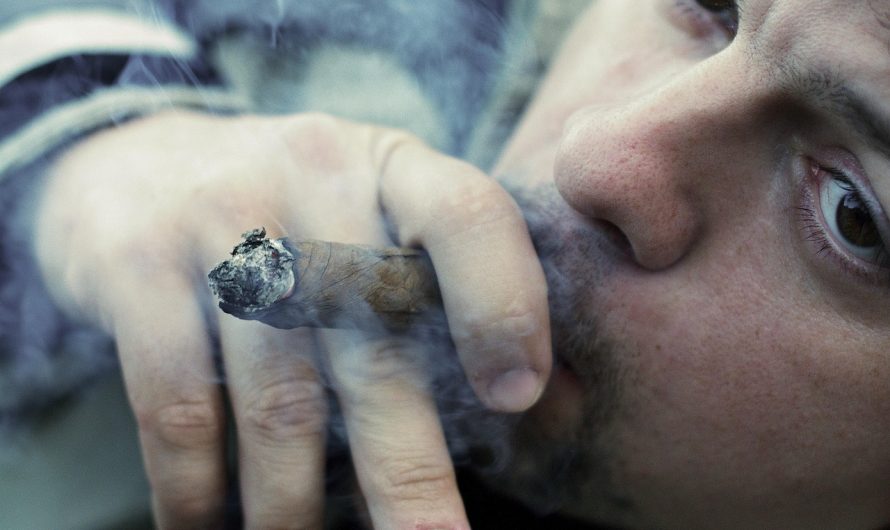 Нюхательный табак в Краснодаре где купить и преимущества использования