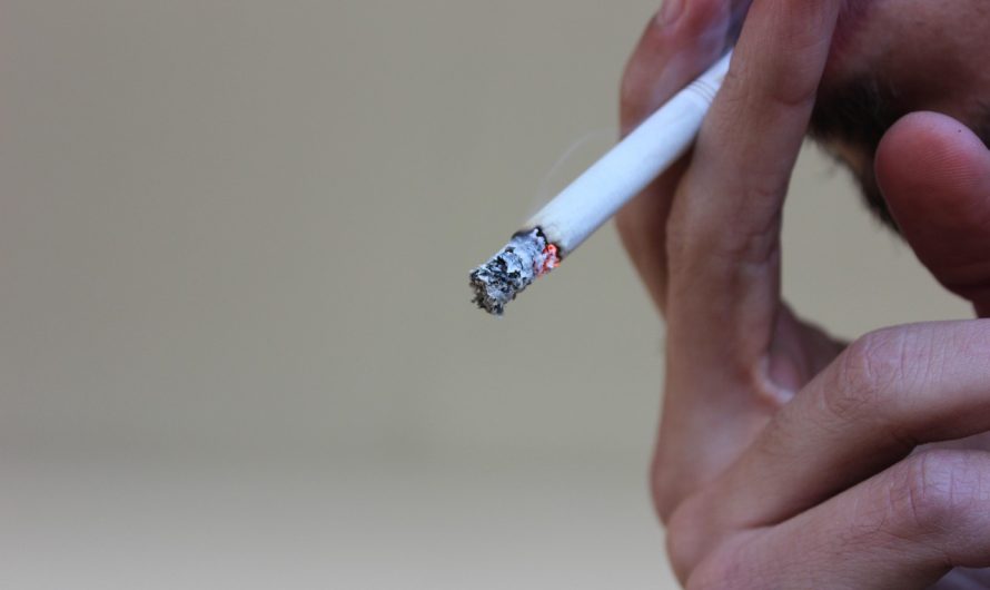 Магазин кальяна в Краснодаре: широкий выбор трубок для кальяна