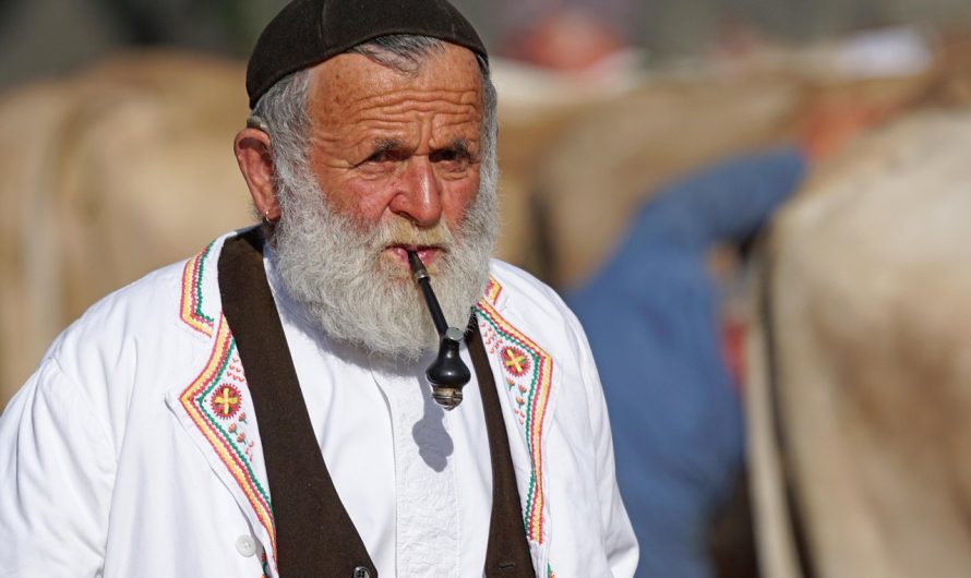 Лучший развесной табак в Краснодаре: выбор и покупка кальянного табака