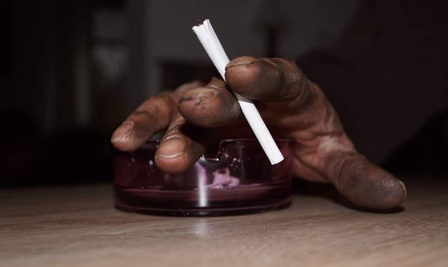 Табак на развес в Симферополе и Крыму: где купить лучший табак для кальяна