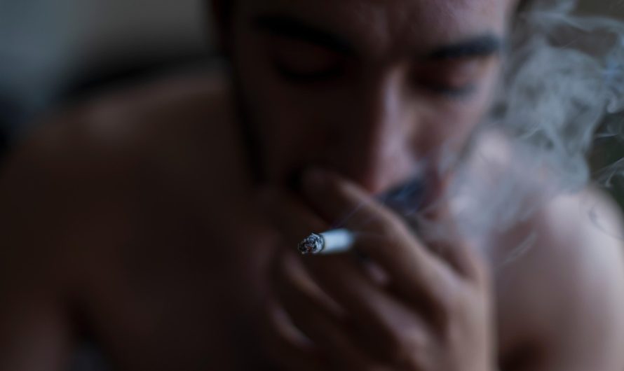 Табачные изделия в Краснодаре: где купить качественные сигареты и табак