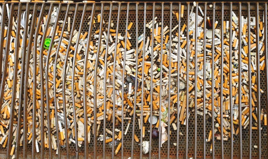 Terea стики: разнообразие вкусов и высокое качество табачных изделий