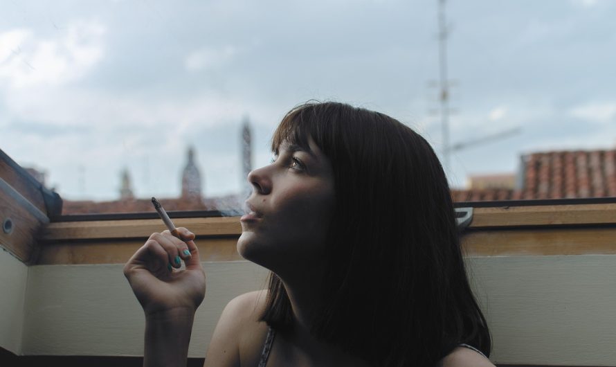 Табак в Краснодаре: разнообразие и качество табачных изделий