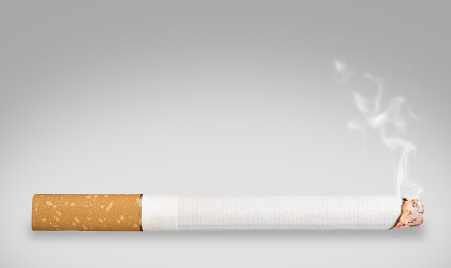 Табак для кальяна в Краснодаре: где купить и на что обратить внимание