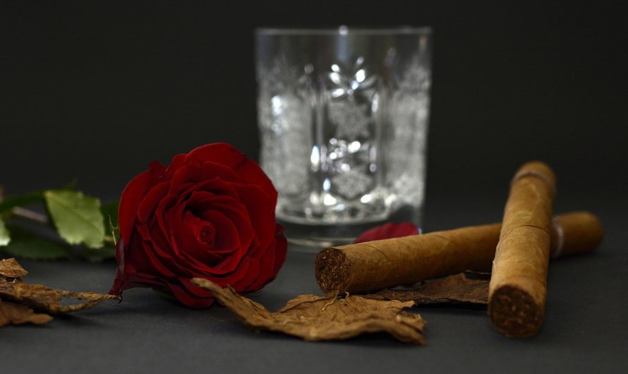 Табачный магазин в Сочи: широкий ассортимент табачной продукции по выгодным ценам