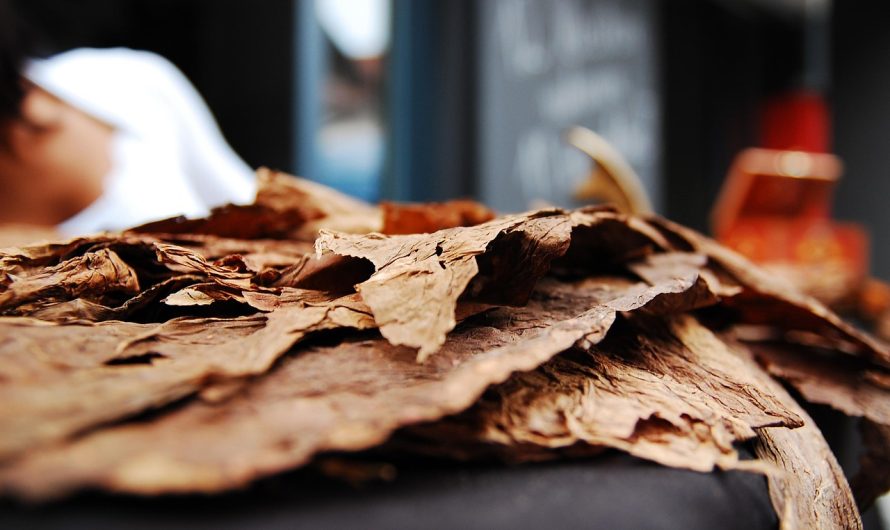 Доставка табака для кальянов в Краснодаре