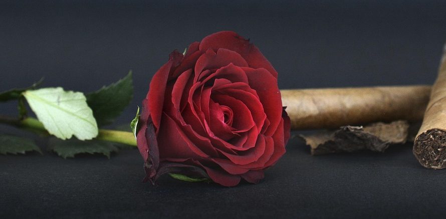 Табак на развес в Краснодарском крае