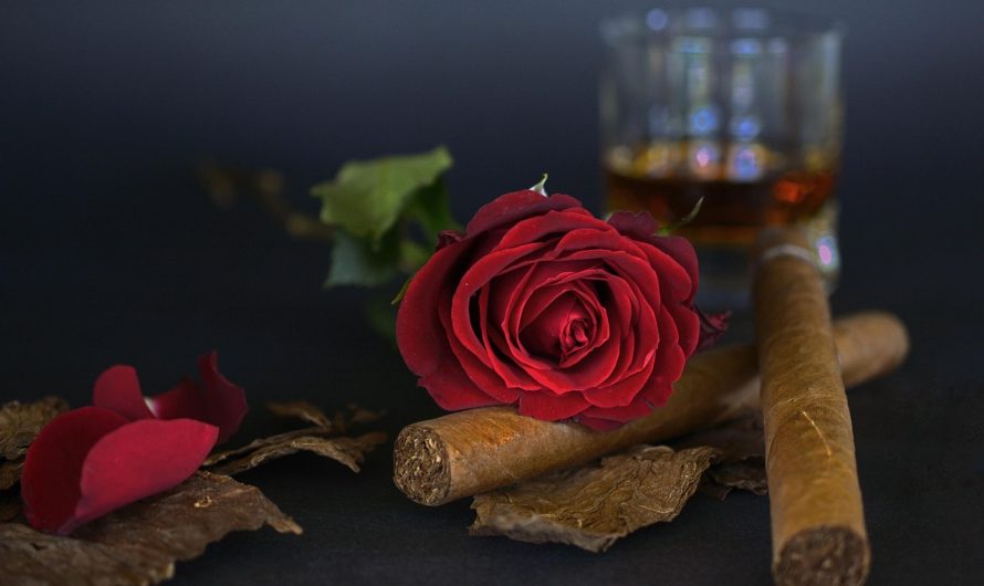 Табак в Краснодаре: где купить и что выбрать