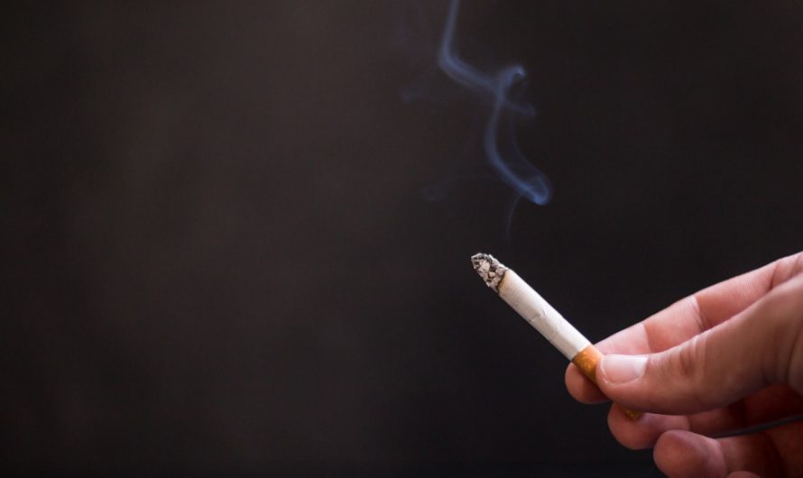 Заказать кальянный табак в Краснодаре просто и легко