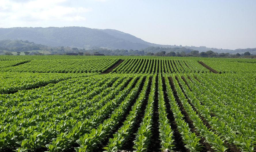 Айкос Краснодар официальный сайт и адреса магазинов табачной продукции в городе Краснодар