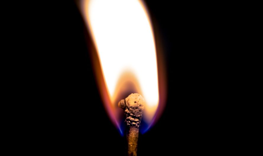 IQOS Iluma Prime в России — покупка и доставка оригинального устройства